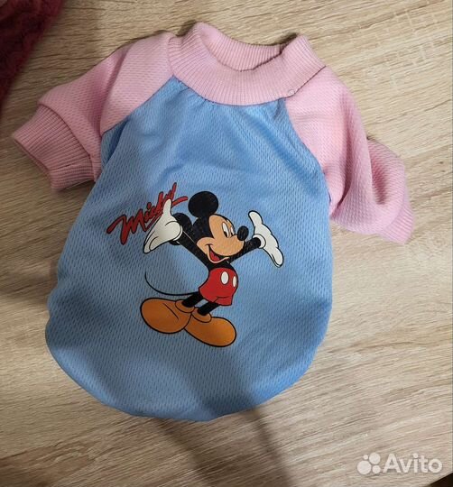 Продам одежду для собаки размера м и с