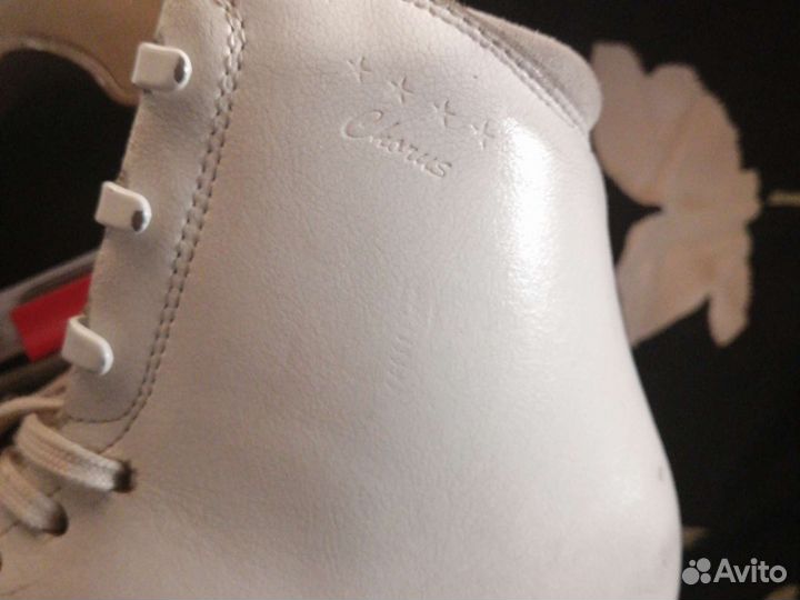 Edea Chorus 230 +John vilson coronation aCe