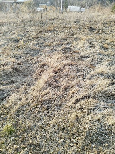 Участок 6 сот. (СНТ, ДНП)