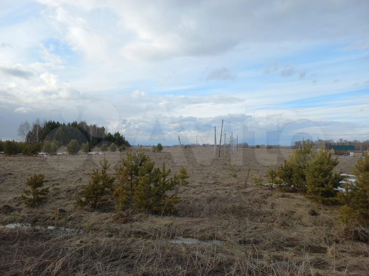 Участок 15 сот. (ИЖС)