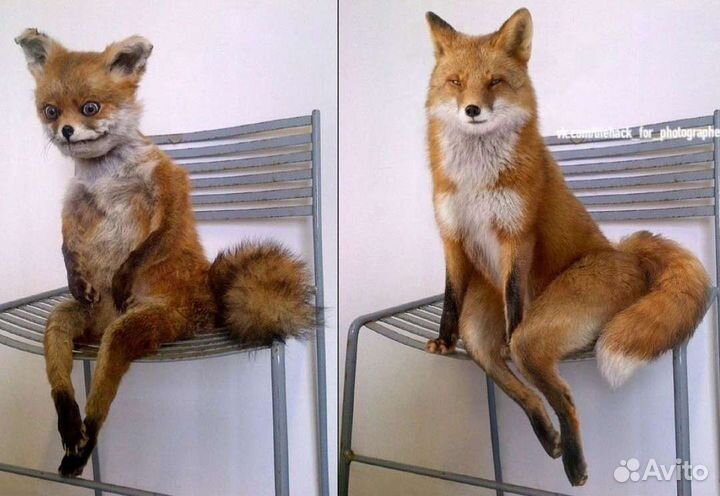 Ретушь фотографий