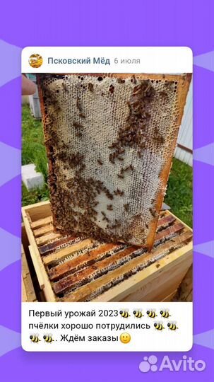 Цветочно-луговой мёд 2023 года