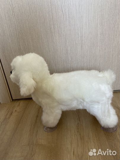 Релакс-игрушка для собаки