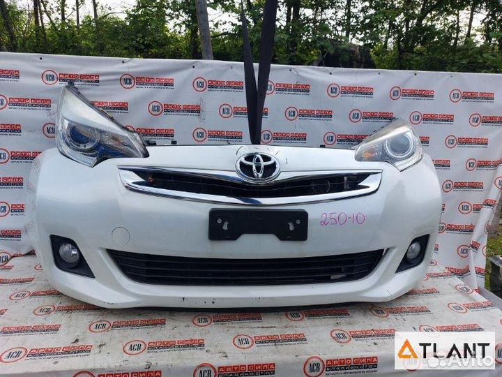 Nose cut toyota ractis