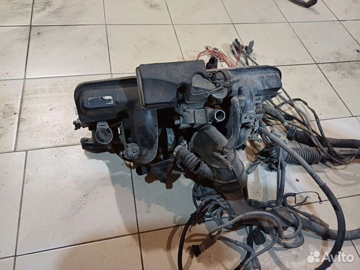 Коса двигателя BMW X5 E53