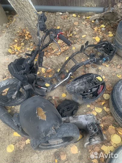 Продам чамп