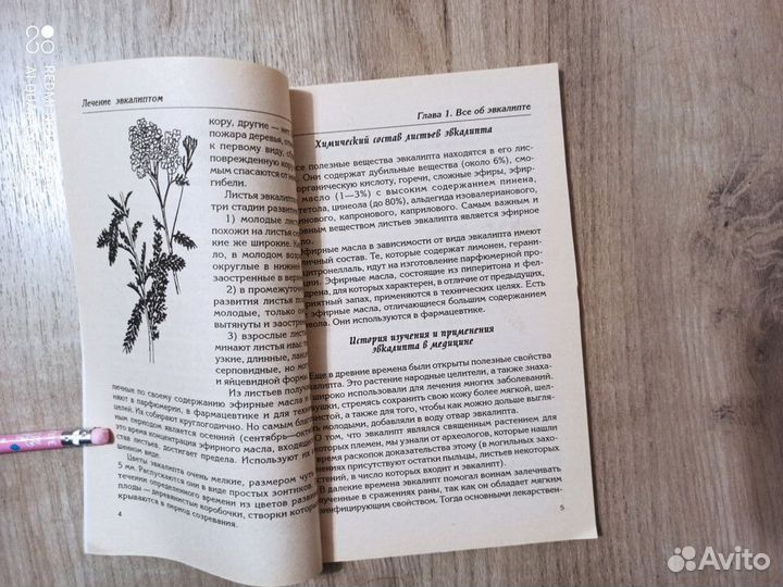 Лечение эвкалиптом. Целительные силы природы