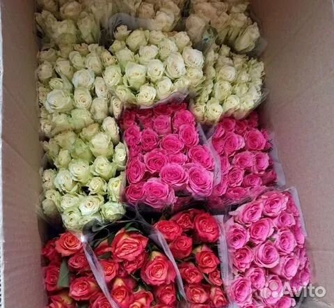 Розы оптом