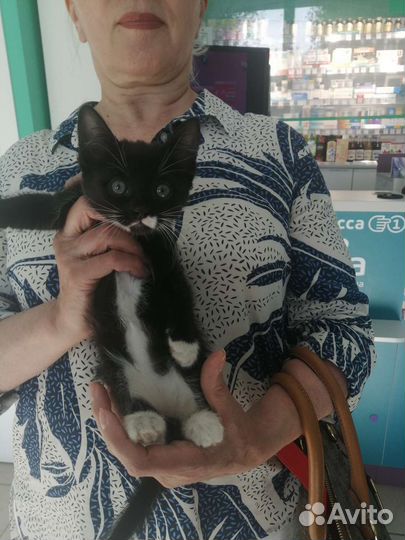 Малышка в добрые руки