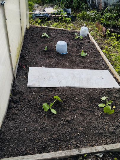 Дача 35 м² на участке 3 сот.