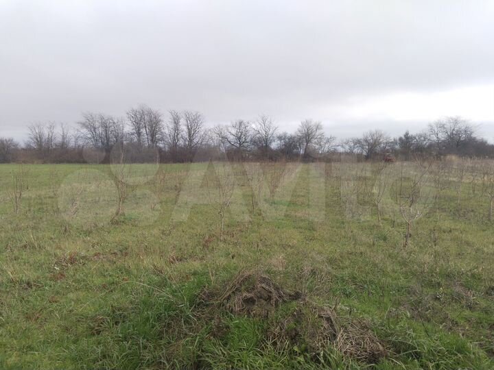 Участок 50 сот. (ИЖС)