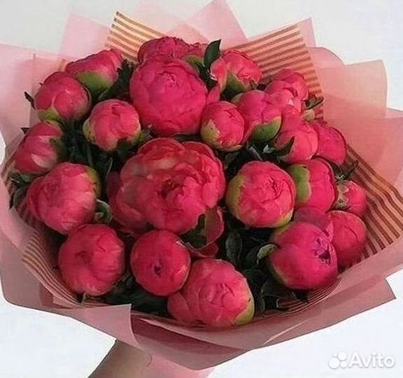 Пионы Букет пионов Доставка цветов