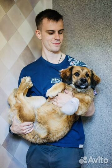 Щенок Адель из приюта