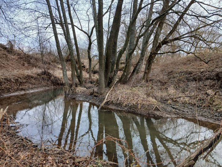 Участок 8 га (СНТ, ДНП)