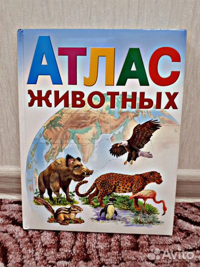 Книга для детей