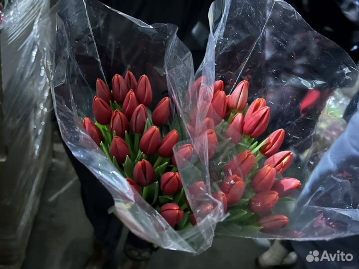 Тюльпаны К 8 марта