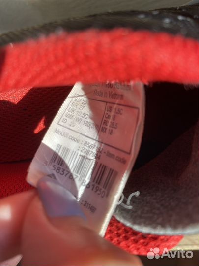 Сороконожки 29