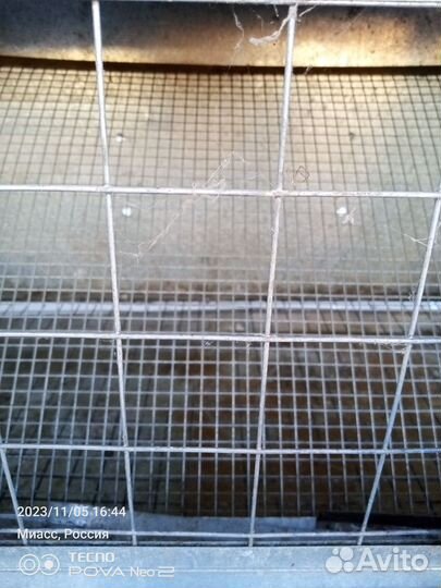 Браудер для бройлеров, перепелов, циплят