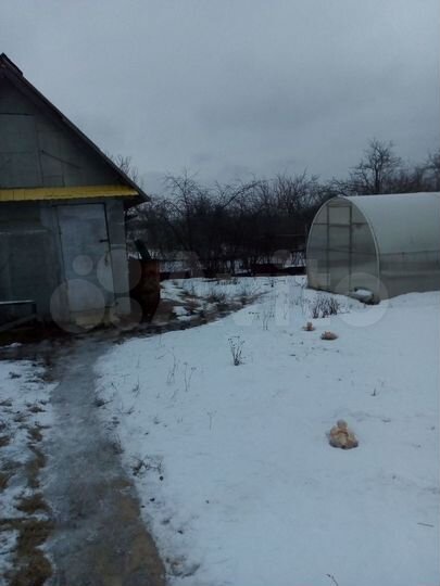 Дом 50 м² на участке 40 сот.