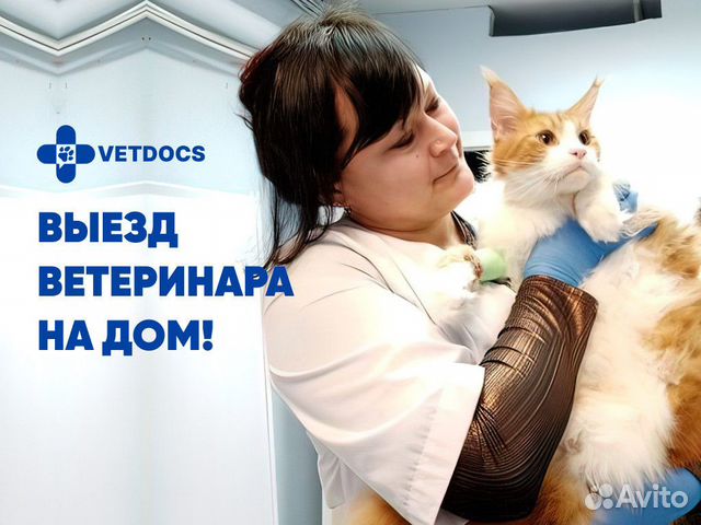 Скорая ветеринарная помощь. Ветеринарный врач