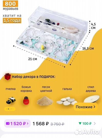 Муравьиная ферма