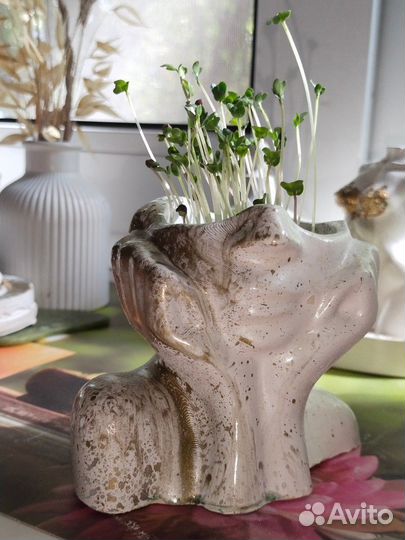 Оригинальные кашпо для микрозелени из гипса