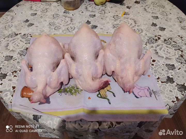 Продукты питания