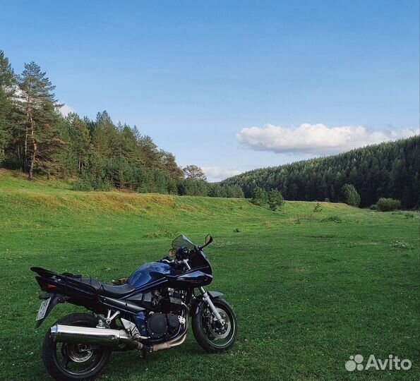Suzuki gsf bandit 1200S 2006 г