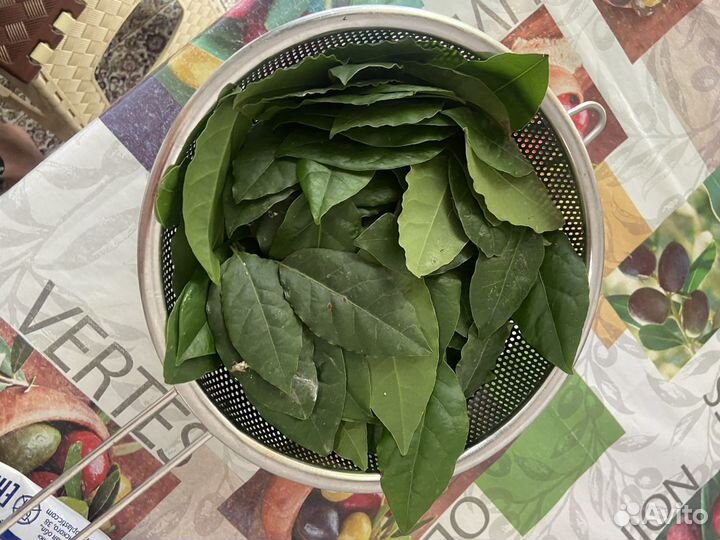 Лавровые листы