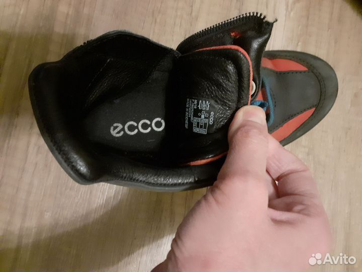 Ботинки ecco 31
