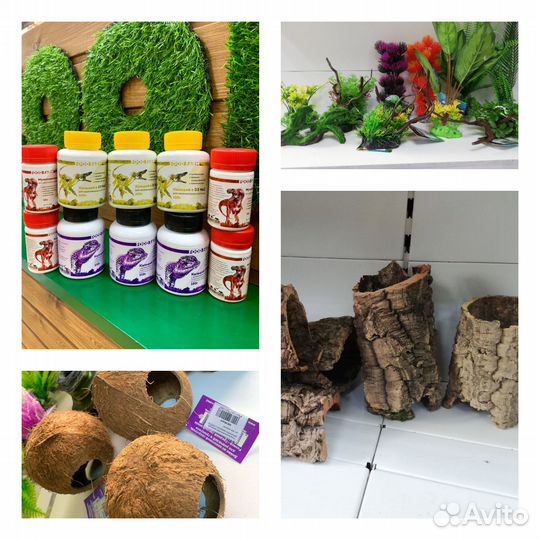 Вл.камера,термоковрик,сверчки,кальций для рептилий