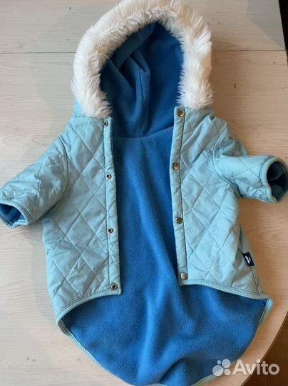 Одежда для собак