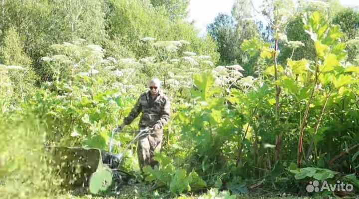 Покос травы, борщевика