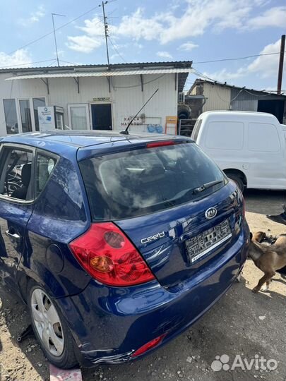 Kia ceed в разборке