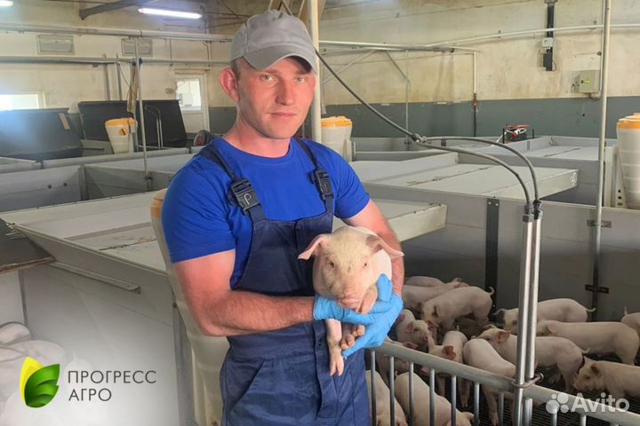 Разнорабочий на ферму/Свиновод