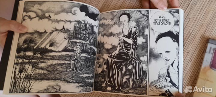 Sopor aeternus - Les fleurs du Mal