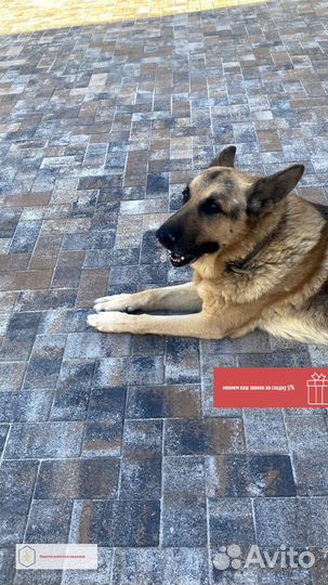 Тротуарная плитка