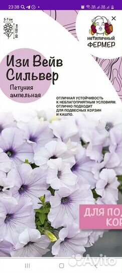 Тайдалы петуния