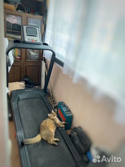 Беговая дорожка impulse envy