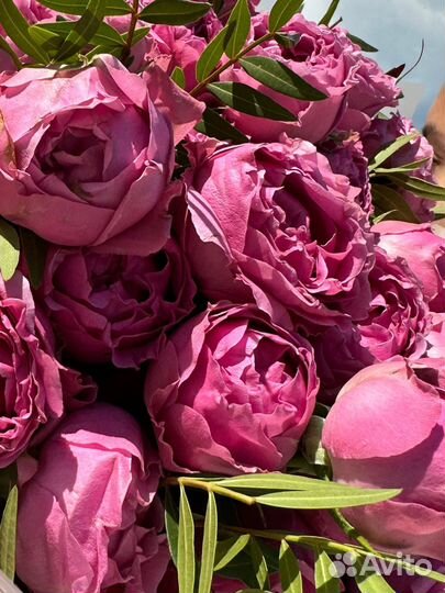 Букет дняпионовидная кустовая роза.Доставка