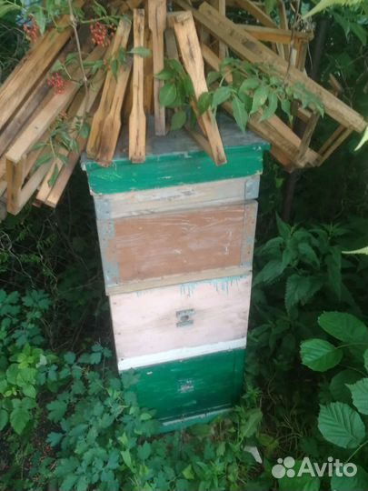 Ульи дадан 12 рамочный б/у
