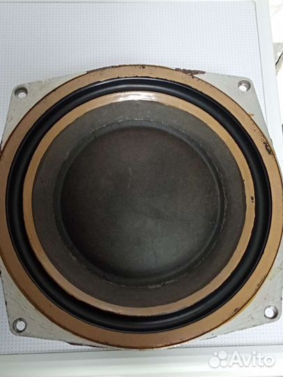 Динамики нч