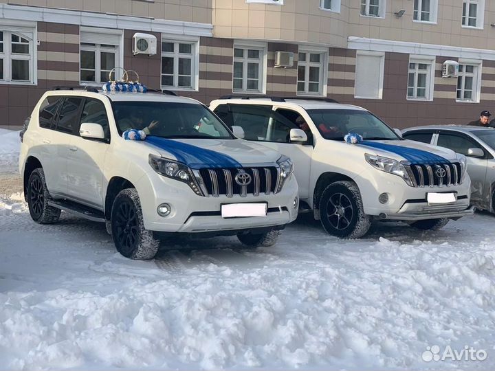 Аренда авто