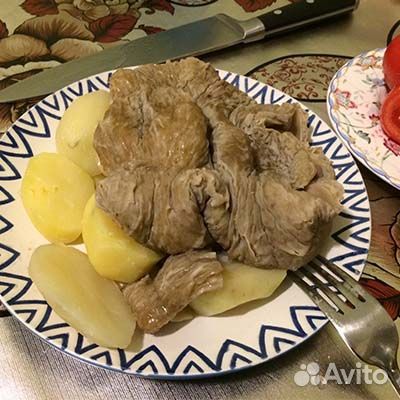 Карын конский