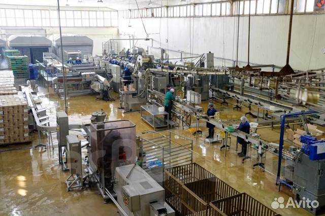 Обработчик, укладчик морепродуктов