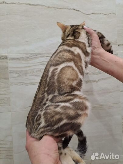 Крупный мальчик с документами