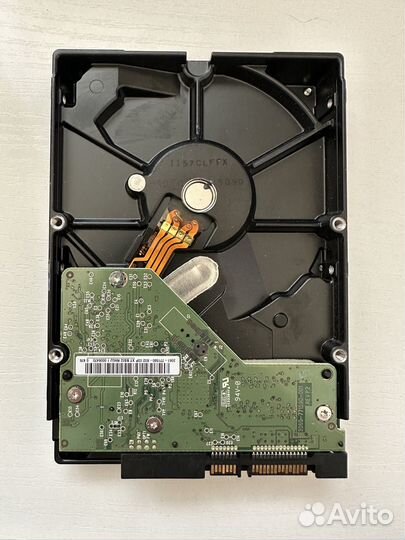 Жесткий диск WD 250GB