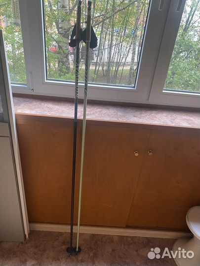 Лыжные палки