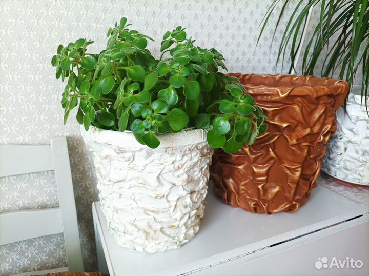 Кашпо горшок для цветов