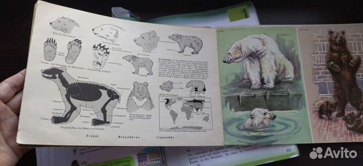 Учебник по немецкому языку 6 класс И. Л. Бим